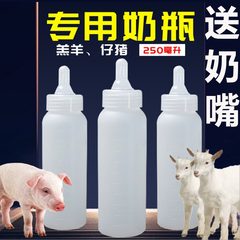 250ml羔羊奶瓶仔猪奶壶硅胶奶嘴养殖用